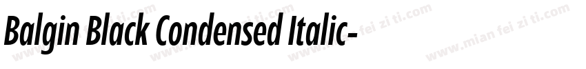 Balgin Black Condensed Italic字体转换